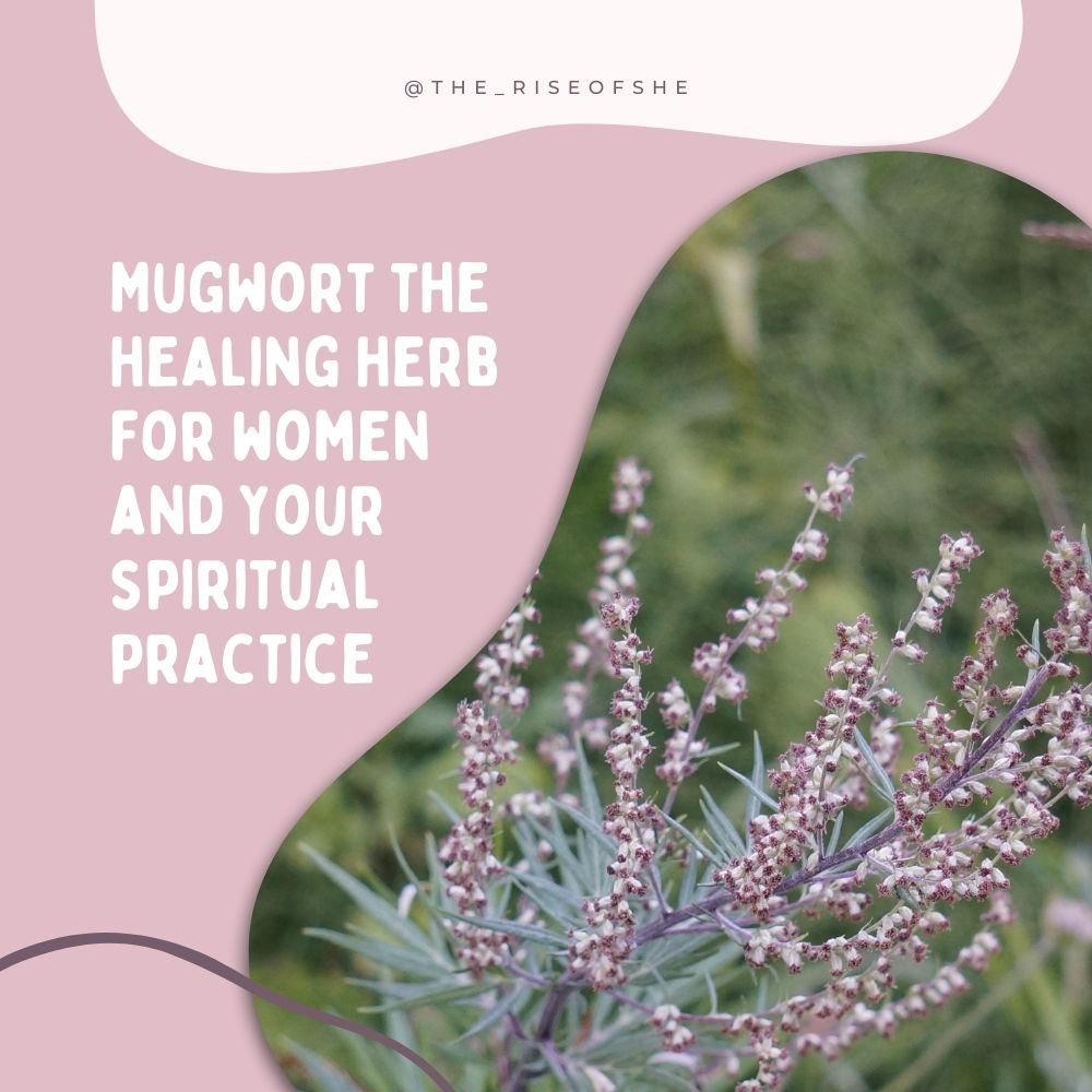 MUGWORT FOR WOMEN